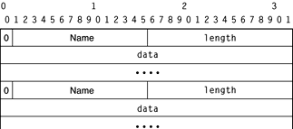 Standard RTP payload meta-information format