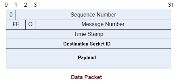 数据包Data Packet